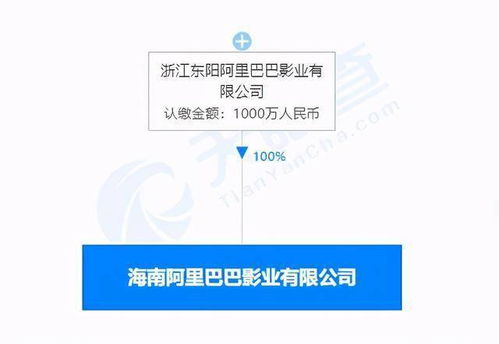 阿里影業(yè)在海南成立新公司，注冊(cè)資本達(dá)1000萬，企業(yè)注冊(cè)流程詳解